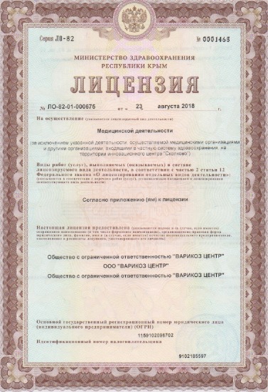 Лицензия